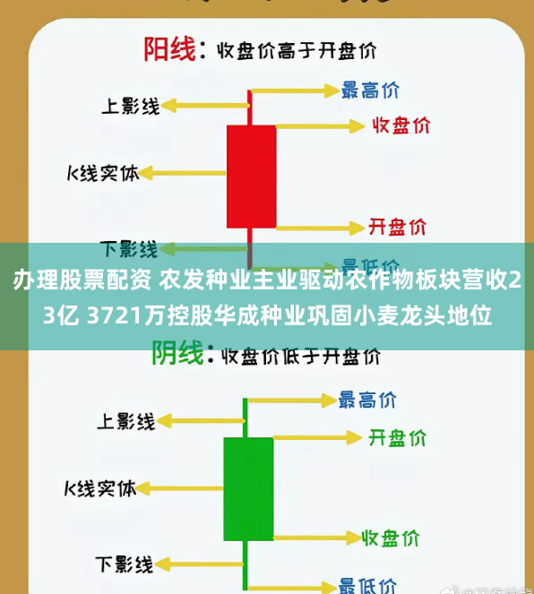 办理股票配资 农发种业主业驱动农作物板块营收23亿 3721万控股华成种业巩固小麦龙头地位