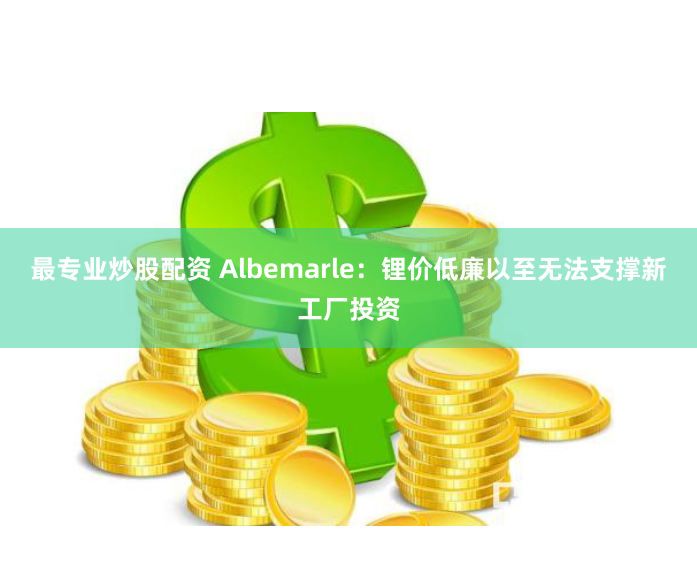 最专业炒股配资 Albemarle：锂价低廉以至无法支撑新工厂投资