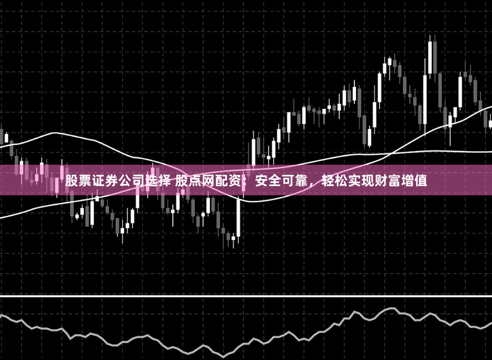 股票证券公司选择 股点网配资：安全可靠，轻松实现财富增值