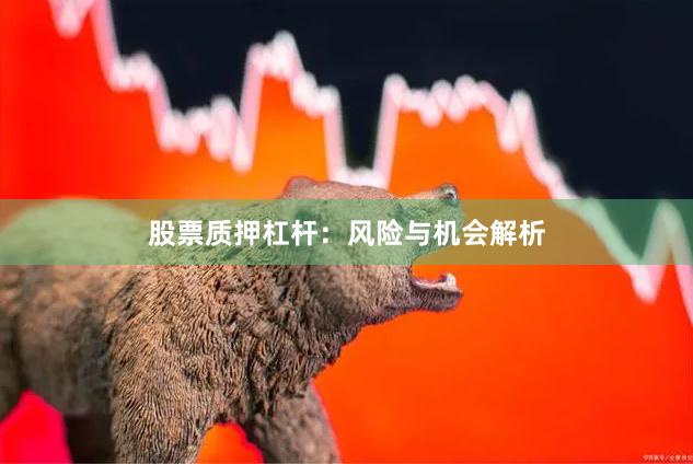 股票质押杠杆：风险与机会解析