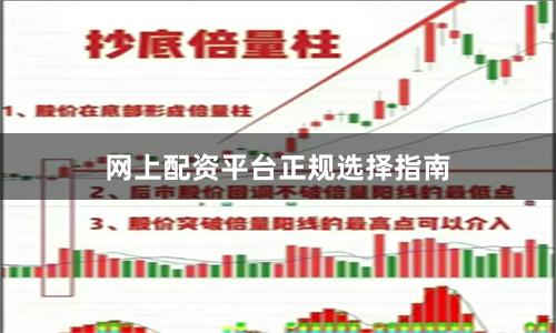 网上配资平台正规选择指南